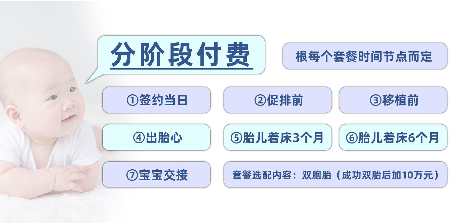 代孕分期付款图